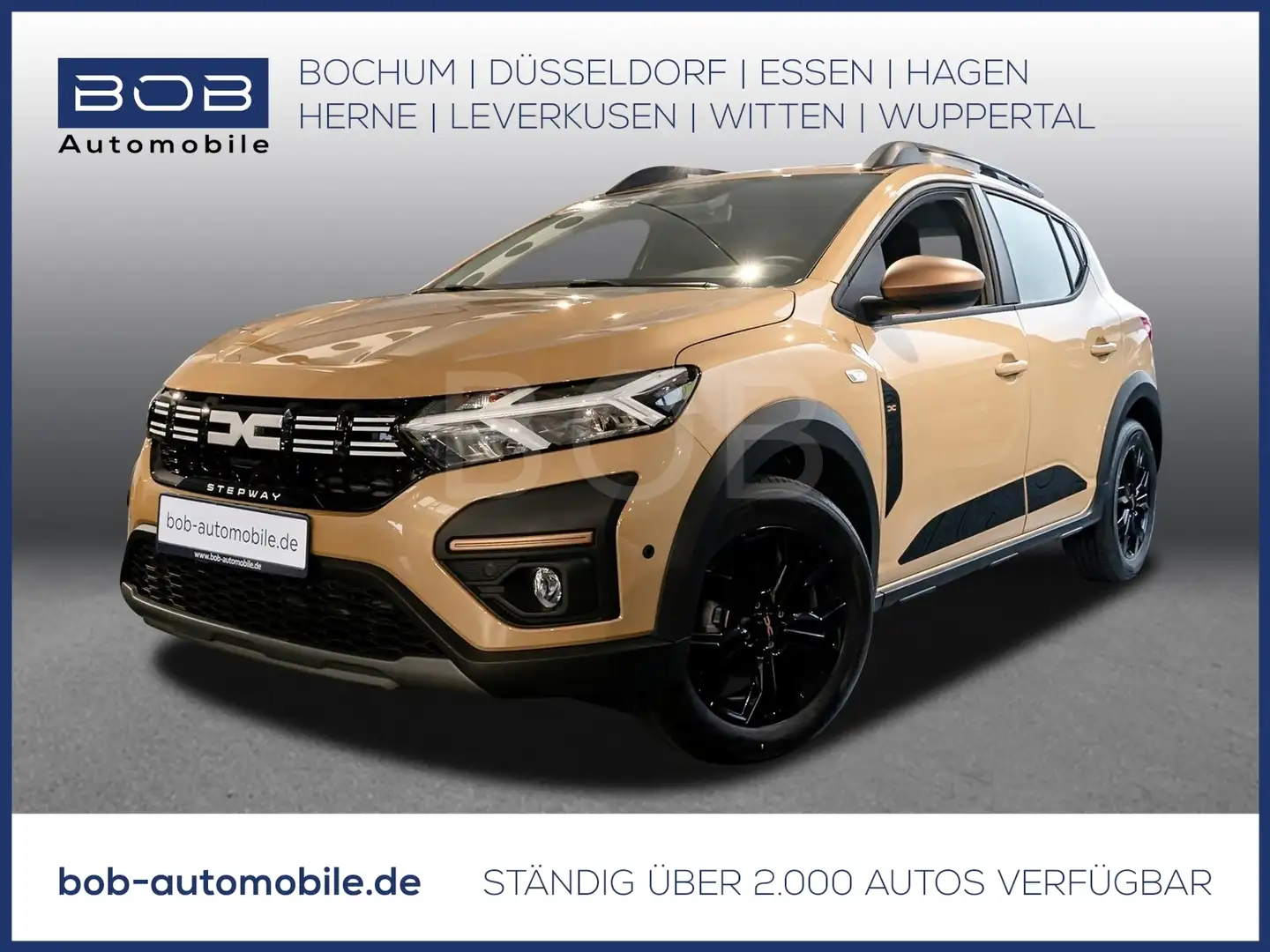 Dacia Sandero Stepway Extreme TCe 110 NAVI SHZ PDC KLIMA Beige - 1