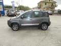 Fiat Panda 1.3 mjt 16v Cross 4x4 s GARANTITA FULL OPT Grigio - thumbnail 4
