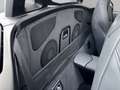 BMW Z4 sDrive20i *19tkm* Leder Tempomat PDC Klimaautomati Schwarz - thumbnail 12