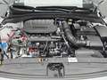 Kia Ceed SW / cee'd SW CEED SW 1.5 T-GDI DCT7 ULTIMATE EDITION MJ25 STYLE Blanco - thumbnail 16
