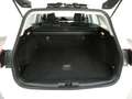 Ford Focus Traveller Navi Assistenzp beh.-Lenkrad/Wss Keyless Weiß - thumbnail 10