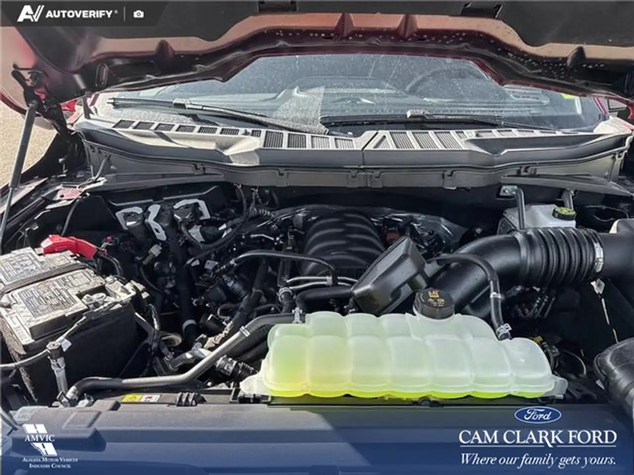 Ford F 150 fotografie Ford F 150