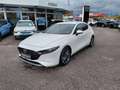 Mazda 3 Mazda3 e-Skyactiv-G140 Exclusive-Line AKTION-KU... Weiß - thumbnail 5