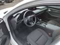 Mazda 3 Mazda3 e-Skyactiv-G140 Exclusive-Line AKTION-KU... Weiß - thumbnail 3