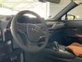 Lexus UX 300e LUXURY HUD LEDER L Navi Keyless Dyn. Kurvenlicht L Šedá - thumbnail 13