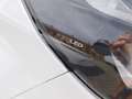 Ford Transit Custom Kasten 320 L2 Trend FWD Weiß - thumbnail 5