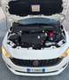 Fiat Tipo TIPO 1.6 MJET 120 CV VAN SW 2 POSTI POP FP Bianco - thumbnail 10
