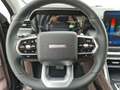 Foton 4 Ultra 2.0 L Diesel 117kW 8AT - thumbnail 14