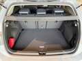 Volkswagen Golf VIII 1.5 eTSI DSG Goal Pano+RearView+ Grau - thumbnail 12