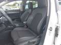 CUPRA Formentor 1.5 TSI Navi AHK Sitzh LED Keyless ACC Weiß - thumbnail 11