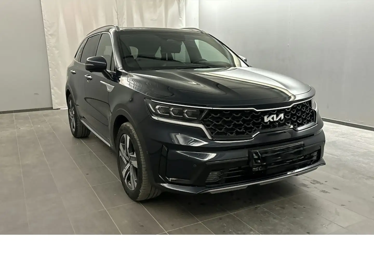Kia Sorento 1.6 Platinum 4WD Plug-In Hybrid Panorama Gris - 2