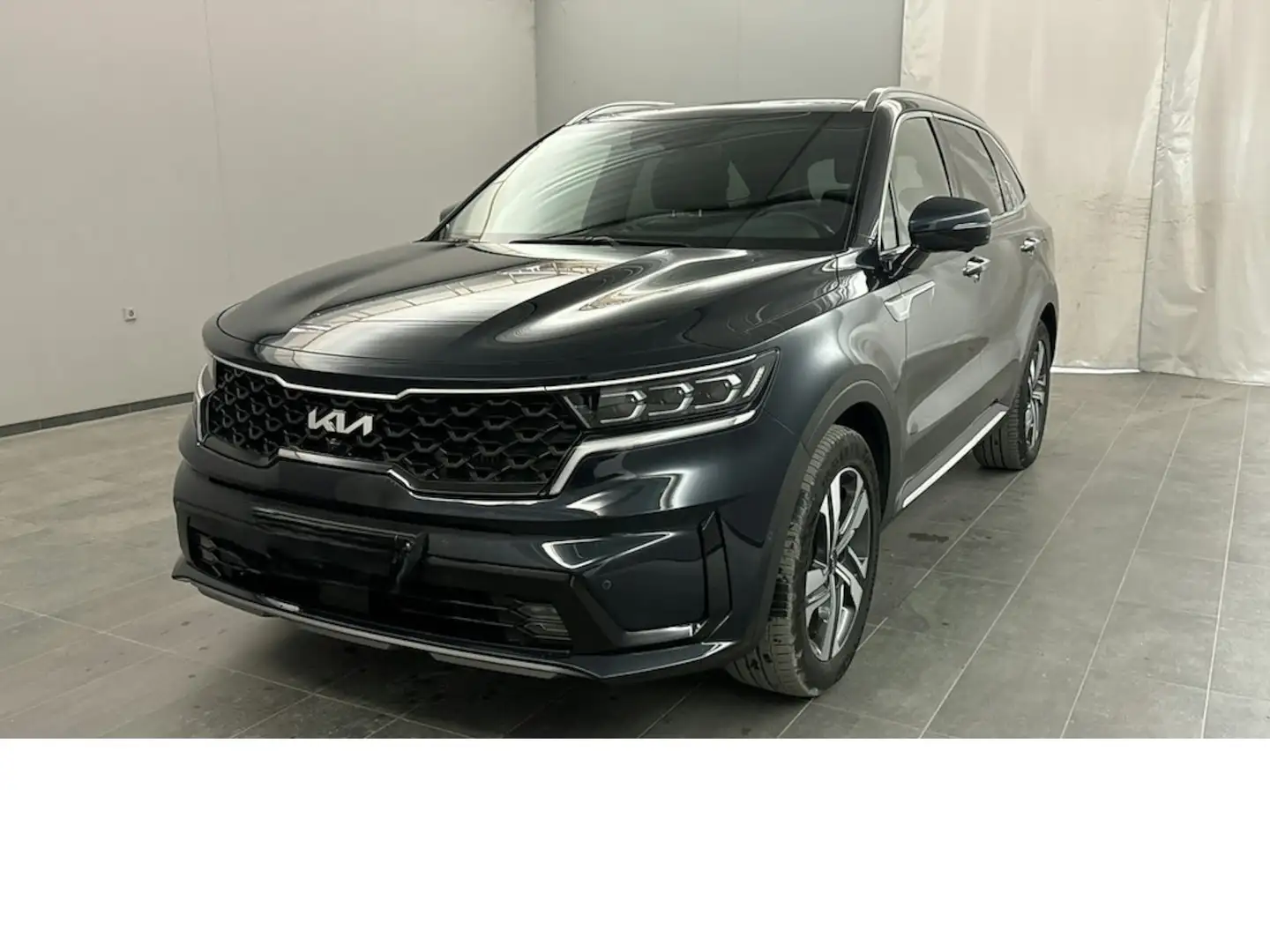 Kia Sorento 1.6 Platinum 4WD Plug-In Hybrid Panorama Gris - 1