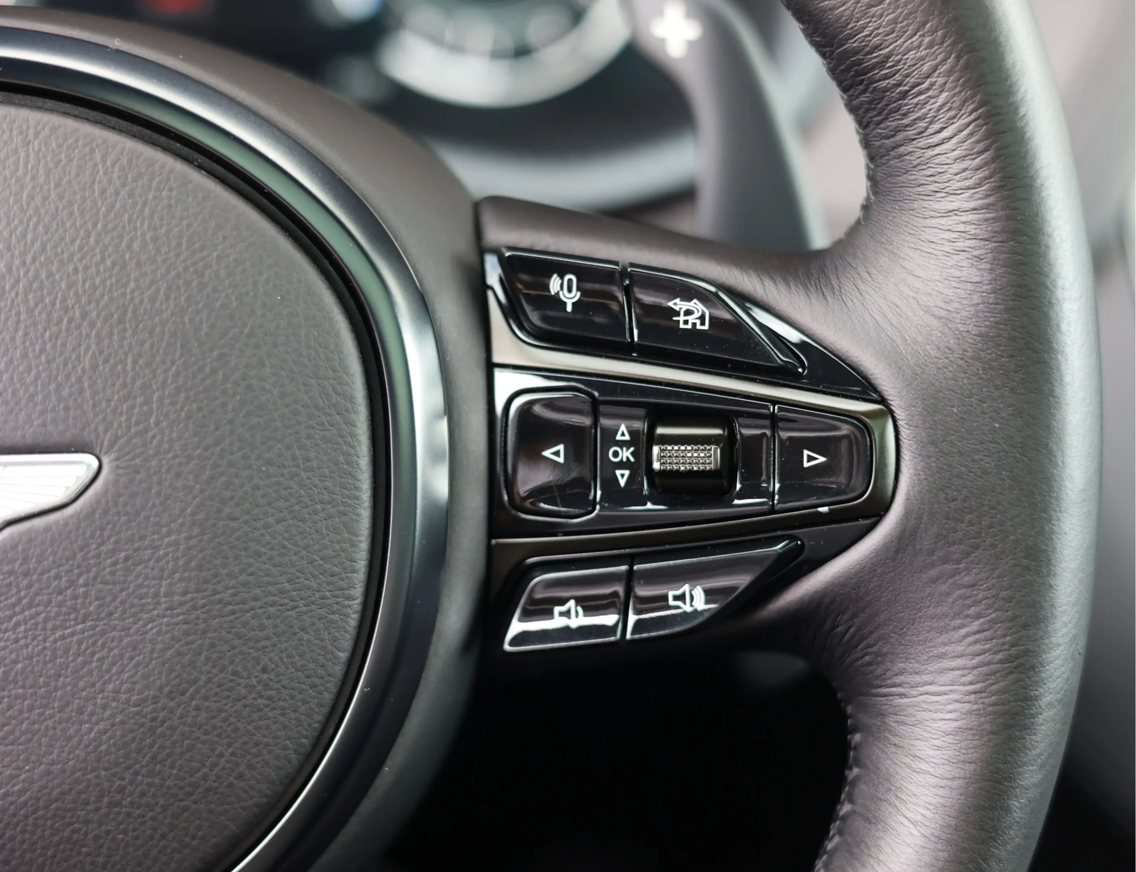 Aston Martin DBX 4.0 V8 — photo 32