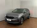 Skoda Kodiaq 4x4 Selection TDI DSG Grau - thumbnail 1