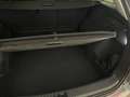 Skoda Kodiaq 4x4 Selection TDI DSG Grau - thumbnail 20