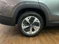 Skoda Kodiaq 4x4 Selection TDI DSG Grau - thumbnail 23