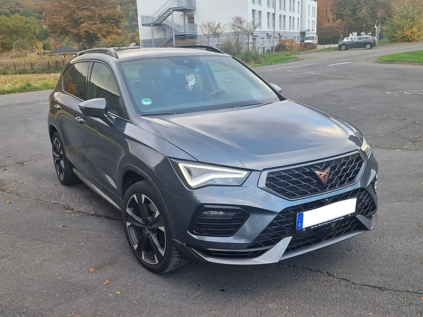 CUPRA Ateca Ateca 2.0 TSI 4Drive DSG Grau - 1