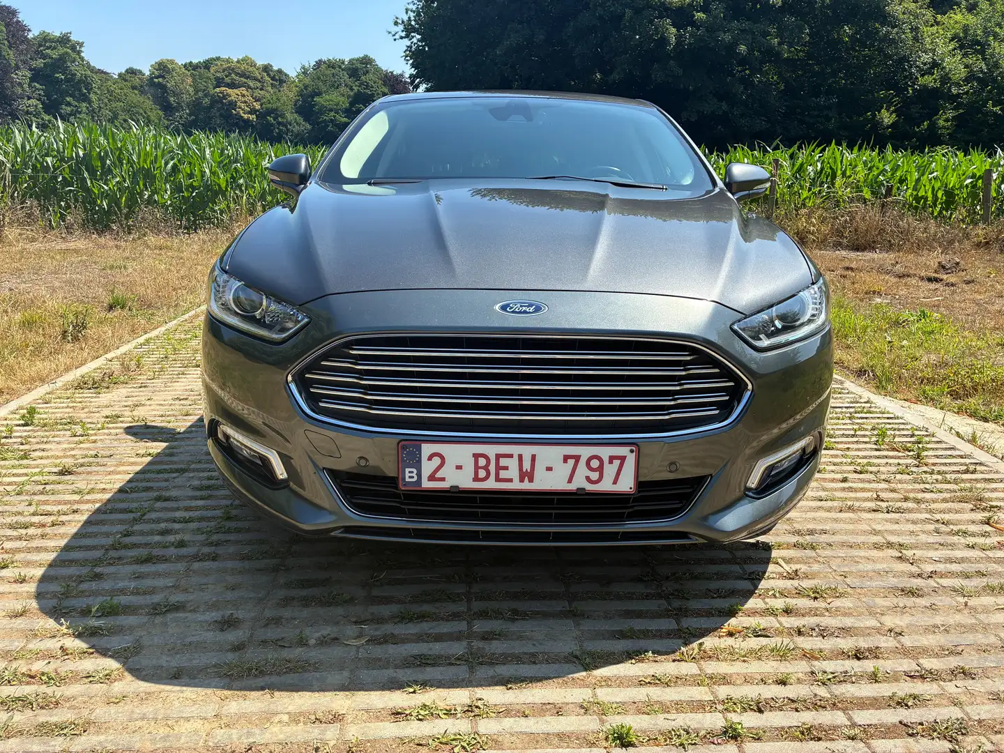 Ford Mondeo Mondeo 2.0 TDCi Start-Stopp PowerShift-Aut ST-Line Grijs - 2