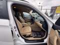BMW X1 xDrive18d 143PS SEHR GEPFLEGT Pickerl 01/26 Leder Weiß - thumbnail 8