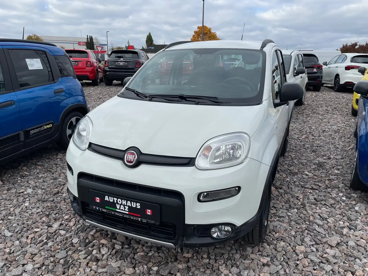 Fiat Panda Wild 4x4 Klima Weiß - 2