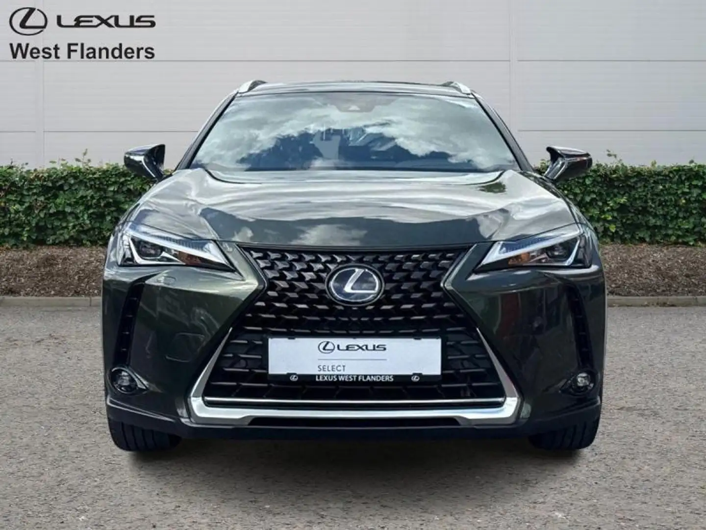 Lexus UX 250h Executive Line+cam+nav+sens V& Vert - 2