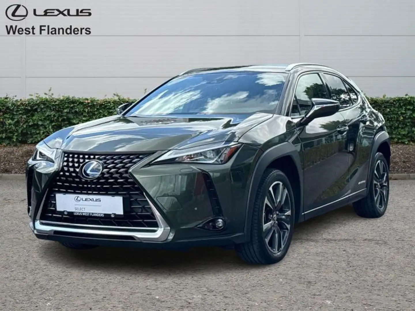 Lexus UX 250h Executive Line+cam+nav+sens V& Vert - 1