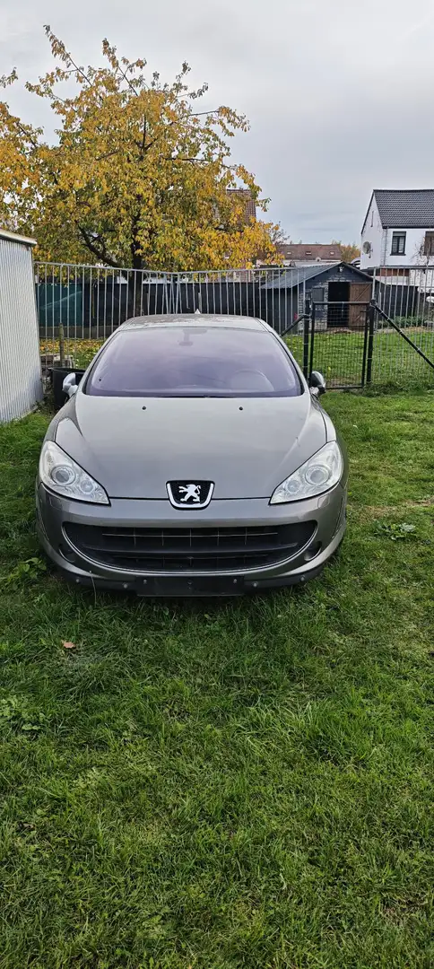 Peugeot 407 Coupe HDi FAP 165 Platinum - 1