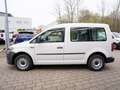 Volkswagen Caddy 2.0 TDI Klima Sitzheizung PDC AHK Wit - thumbnail 4