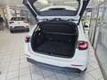 Mercedes-Benz B 200 Progressive Line Navi,AHK,PDC+Kamera Weiß - thumbnail 3