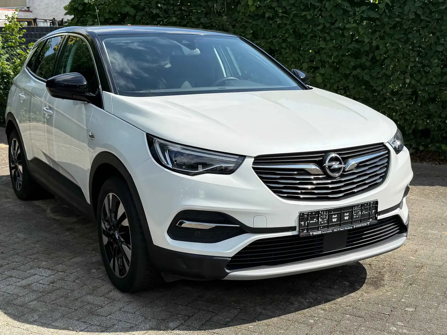 Opel Grandland X Innovation Weiß - 2