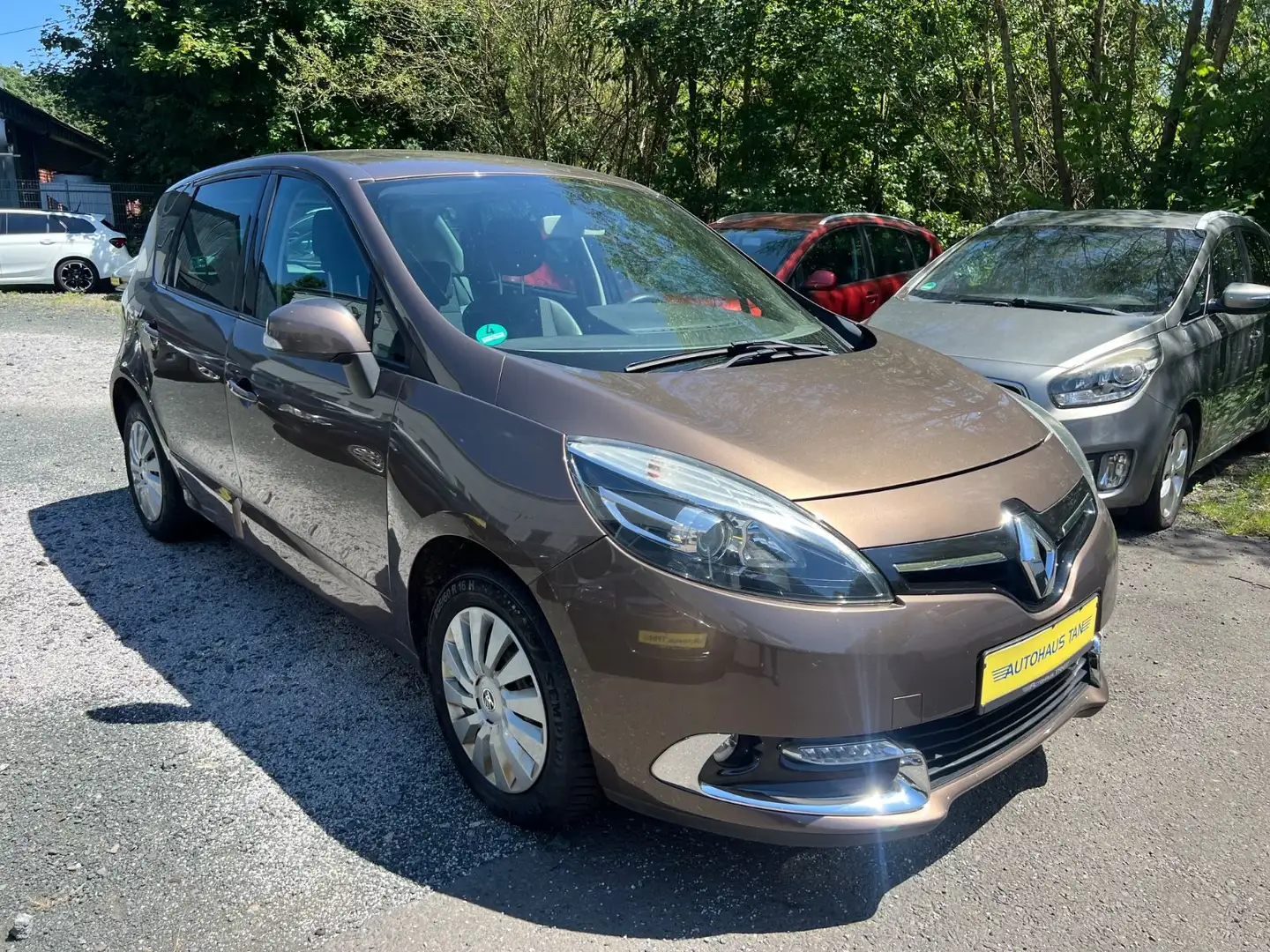 Renault Scenic III Dynamique Braun - 1