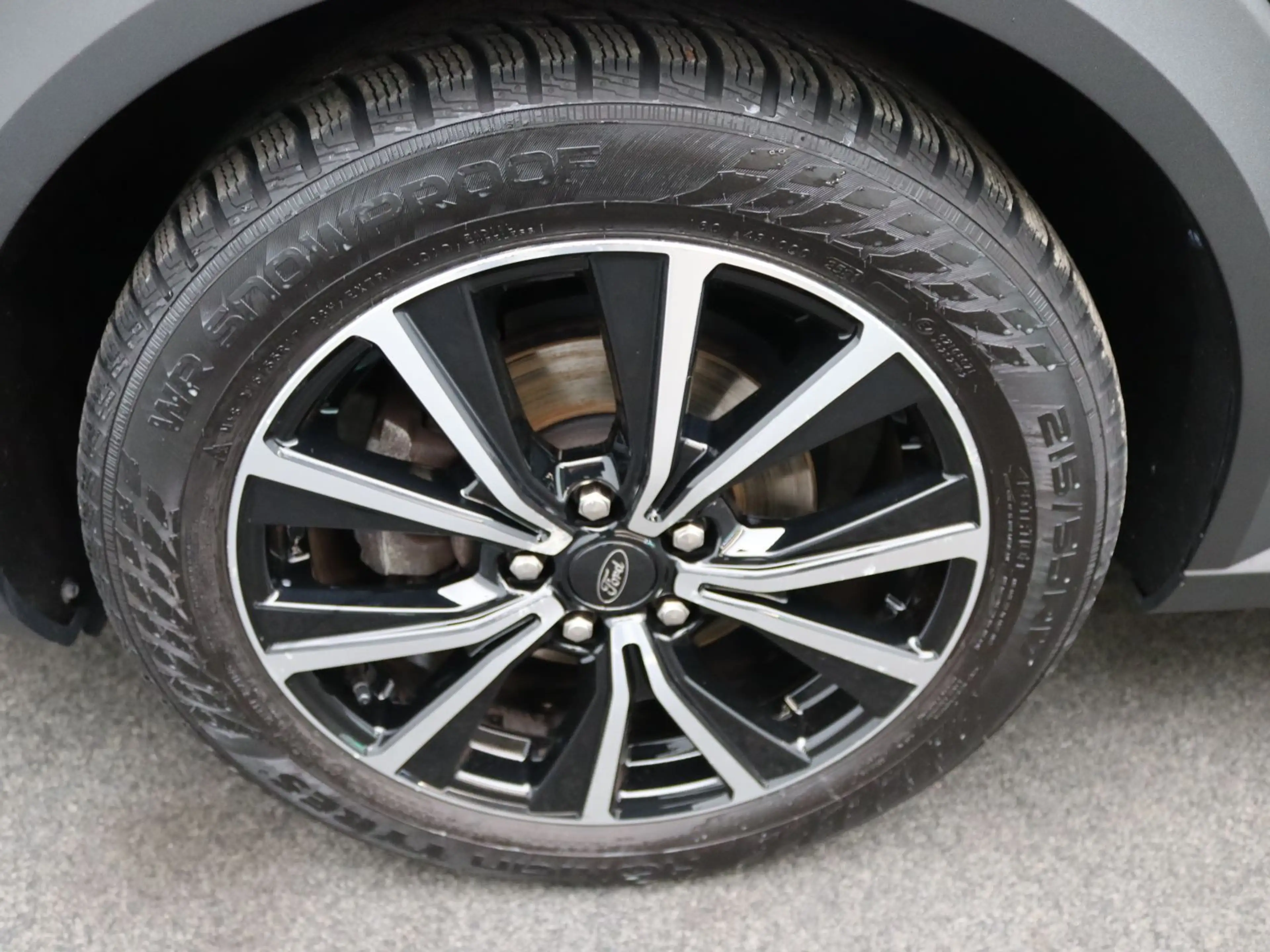 Ford Puma 1.0 Mild Hybrid Titanium / Navi, LED, RFK — photo 15