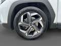 Hyundai TUCSON 1.6 HEV aut.Exellence Bianco - thumbnail 14