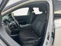 Hyundai TUCSON 1.6 HEV aut.Exellence Bianco - thumbnail 9
