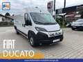 Fiat Ducato KASTENWAGEN MAXI 35 L4H2 180 AT - thumbnail 1