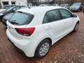Kia Rio Rio 1.2 - 1.Hand/WR/Sitzheizung Weiß - thumbnail 4