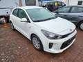 Kia Rio Rio 1.2 - 1.Hand/WR/Sitzheizung Weiß - thumbnail 3