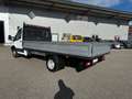Ford Transit Pritsche 2,0 TDCi L4H1 350 HD Trend Blanc - thumbnail 7