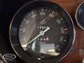 Ferrari 365 GT 2+2  - ONLINE AUCTION Grijs - thumbnail 36