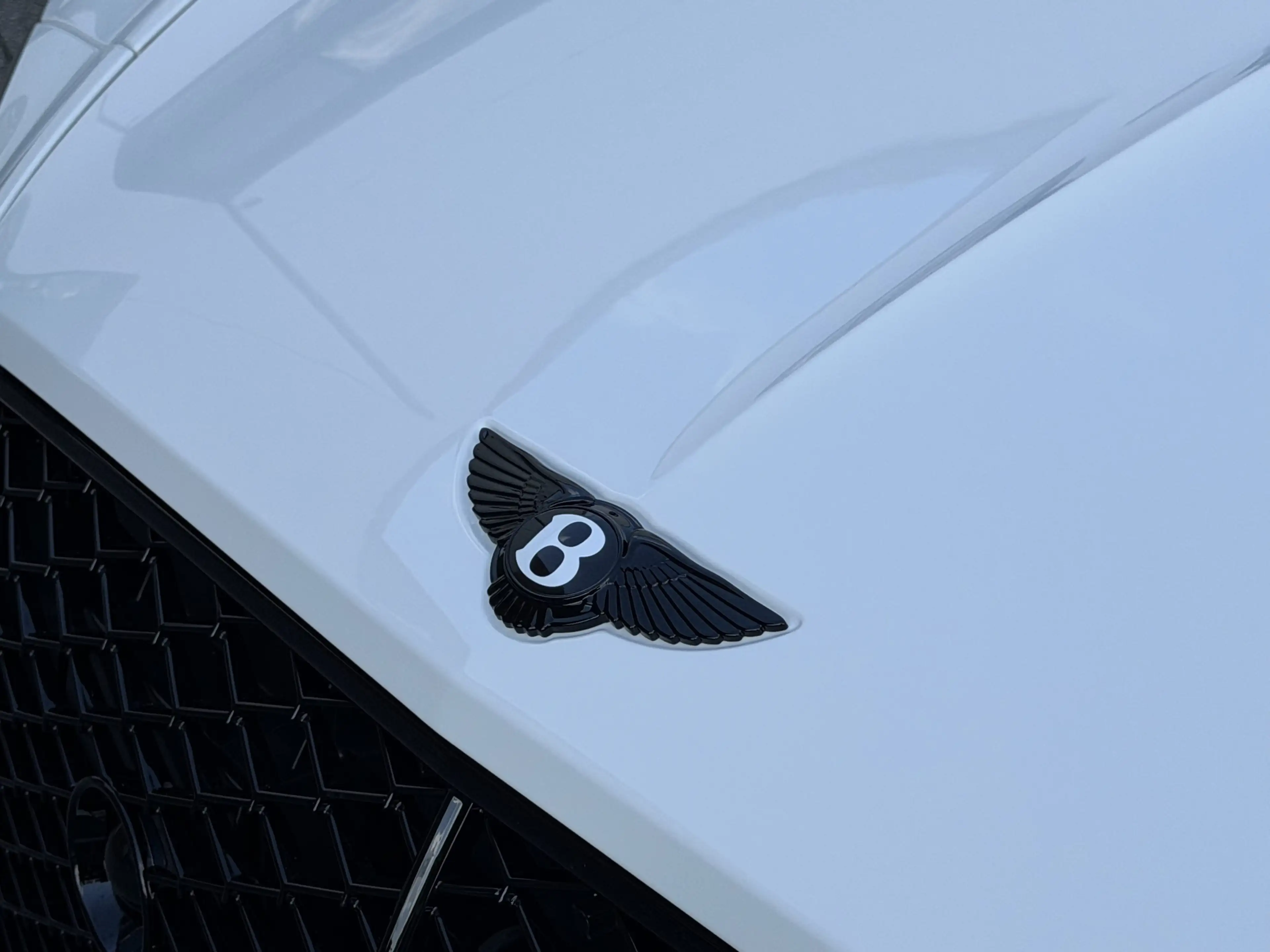 Bentley Continental GTC S *Touring*FrontSeat*Mood* — photo 14