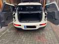 MINI One Clubman LED+Pano.,+AhK +TÜV&Service neu Weiß - thumbnail 5