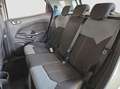 Ford EcoSport 1.0 EcoBoost Trend SITZH BC USB Weiß - thumbnail 7