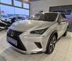 Lexus NX 300h Executive Hybrid Aut. --KOMPLETTE AUSSTATTUNG-- Silber - thumbnail 15
