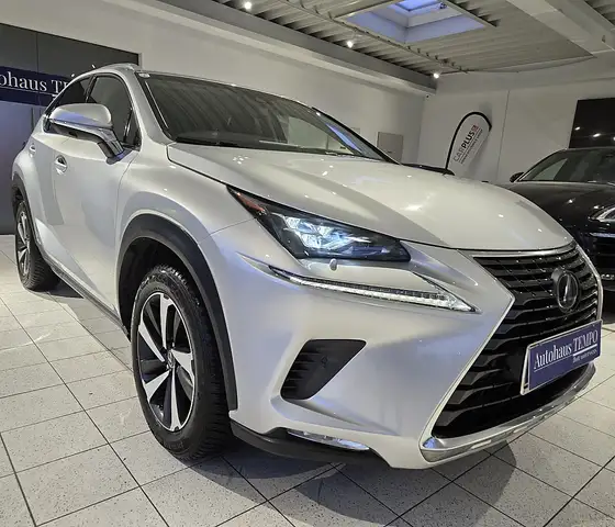 Lexus NX 300h Executive Hybrid Aut. --KOMPLETTE AUSSTATTUNG--