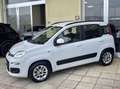 Fiat Panda 1.2 Lounge UconnectBluetooth-Volante multifunzione Wit - thumbnail 17