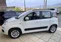 Fiat Panda 1.2 Lounge UconnectBluetooth-Volante multifunzione Wit - thumbnail 16
