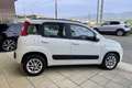Fiat Panda 1.2 Lounge UconnectBluetooth-Volante multifunzione Bianco - thumbnail 6