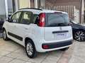 Fiat Panda 1.2 Lounge UconnectBluetooth-Volante multifunzione Bianco - thumbnail 9