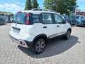 Fiat Panda 0.9 TwinAir Turbo S&S 4x4 Bianco - thumbnail 5