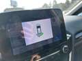 Ford Fiesta Fiesta 5p 1.0 ecoboost hybrid Titanium s Grigio - thumbnail 14